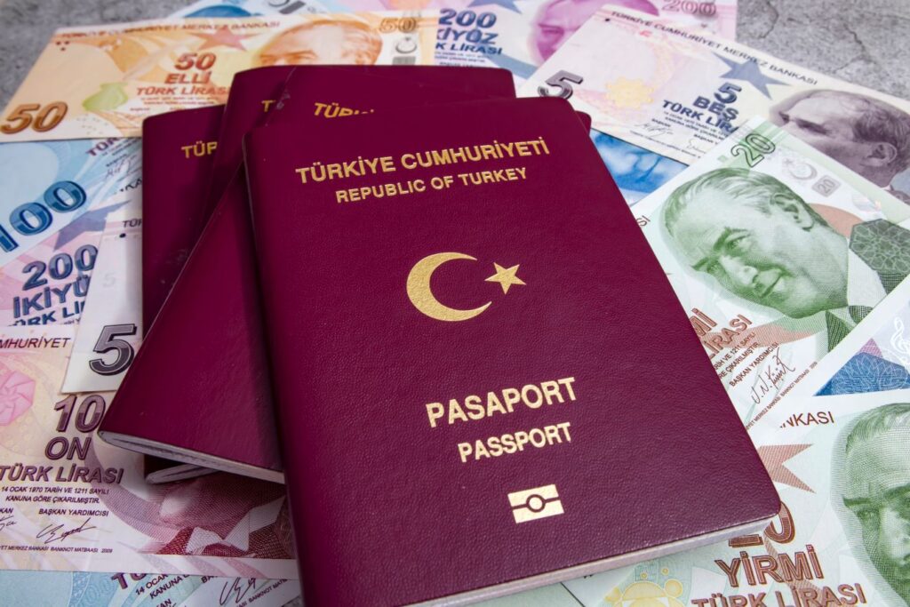 Turkey passport photograph
